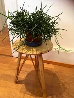 Porte plante en rotin Hauteur 35,5cm Ø 25,5cm.